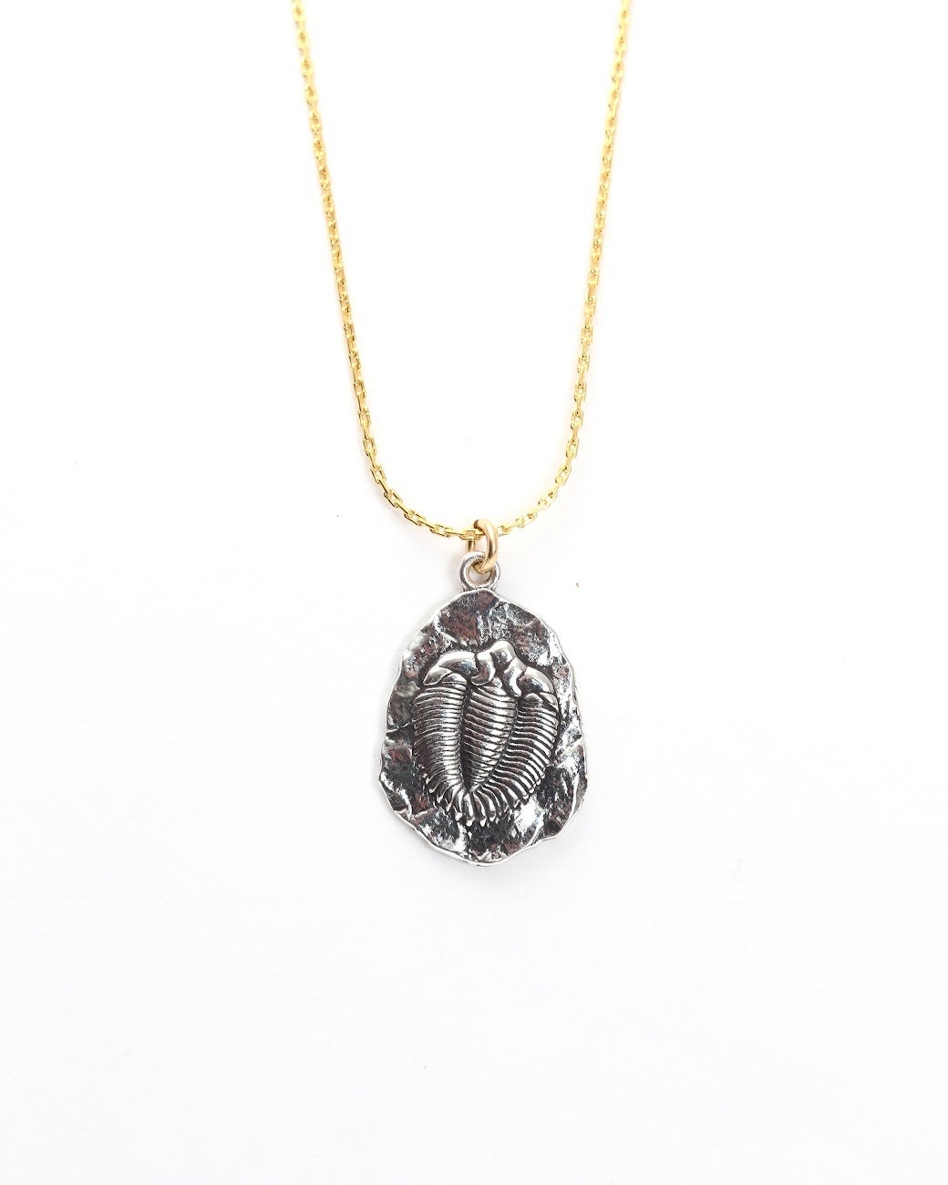 14285 trilobite fossil necklace fox and beaux boutique custom